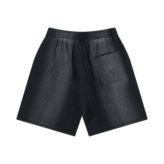 The Blank Sun Fade Distressed Shorts