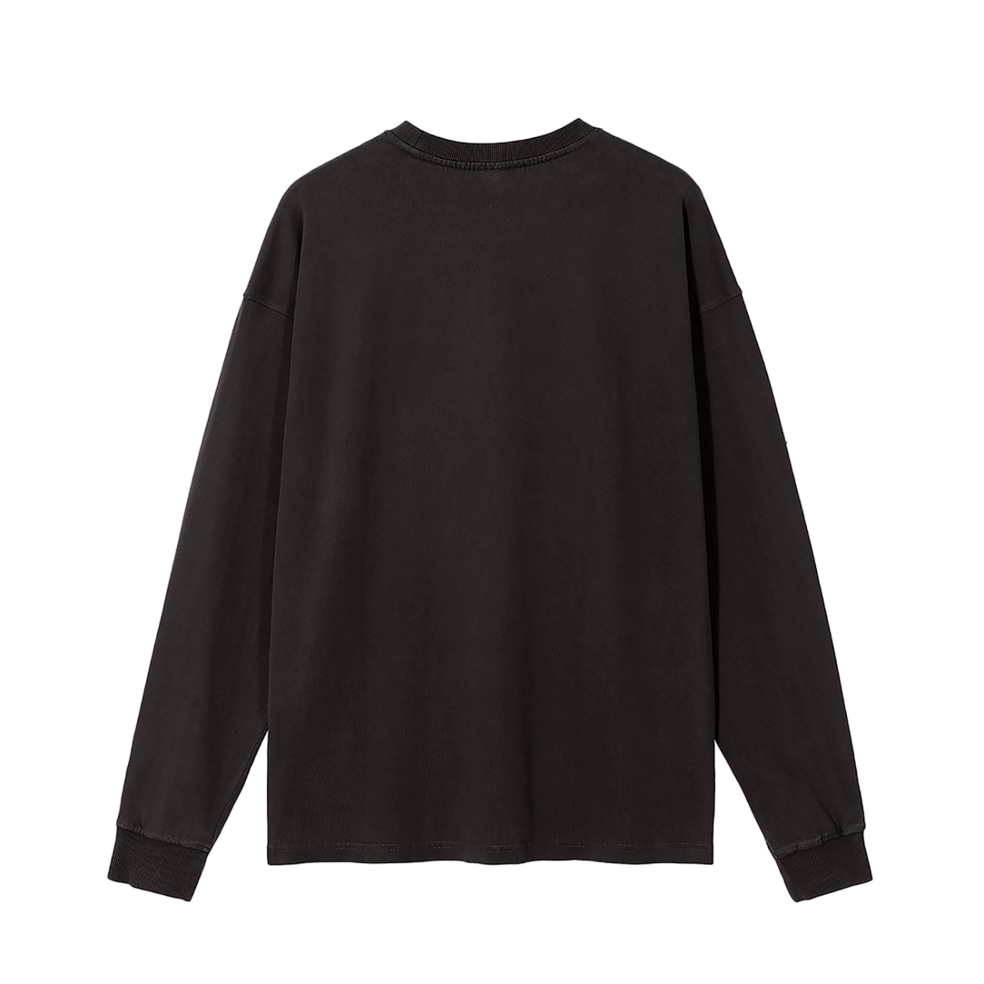 The Blank Vintage Washed Long Sleeve T-Shirt