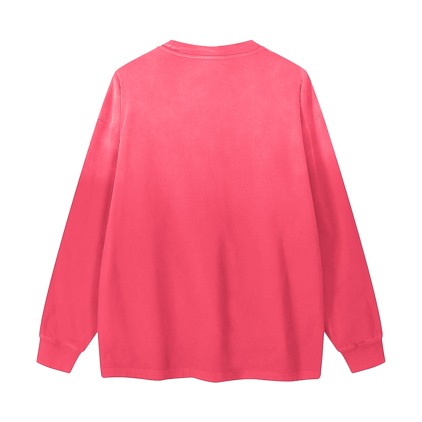 The Blank Gradient Washed Long Sleeve T-Shirt