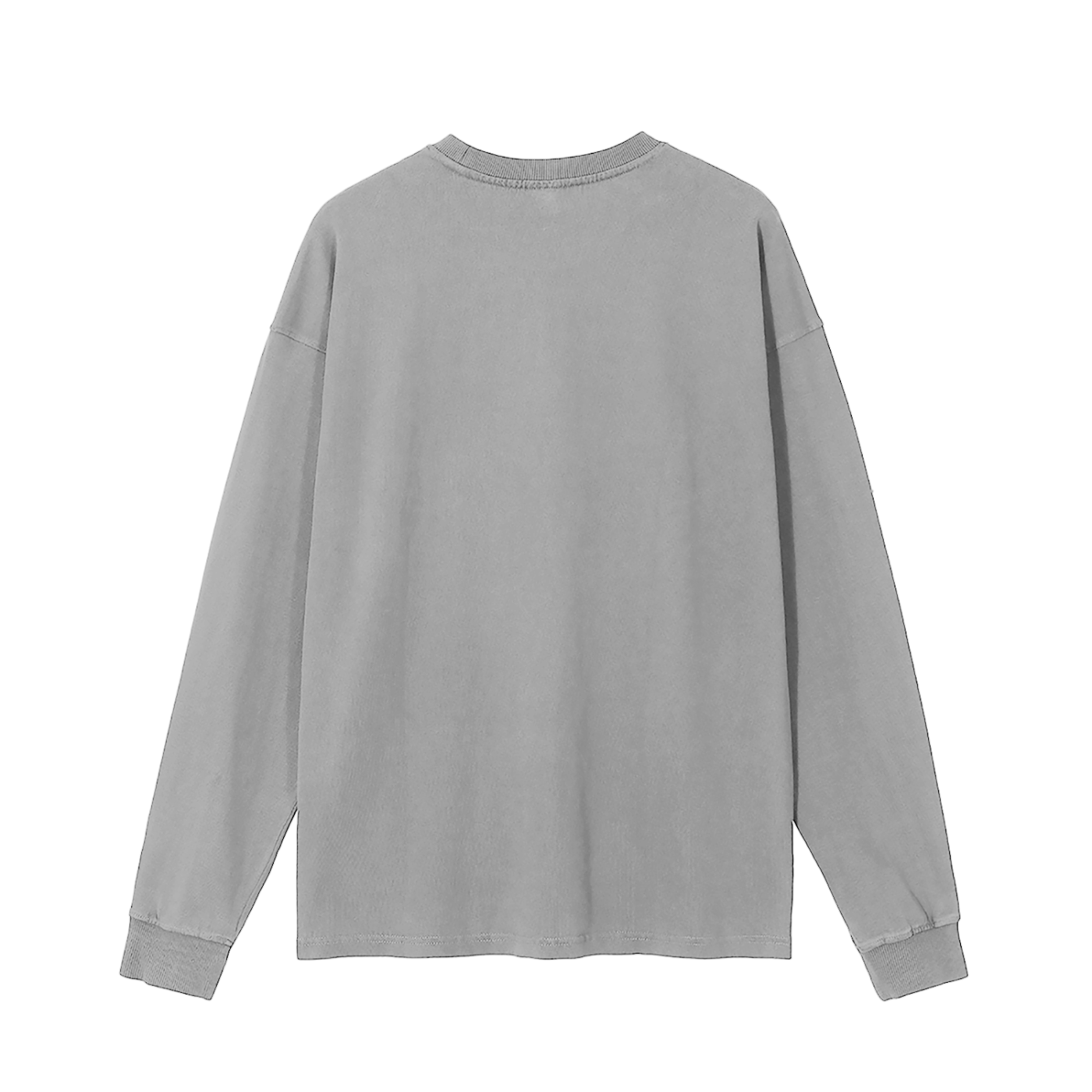 The Blank Vintage Washed Long Sleeve T-Shirt