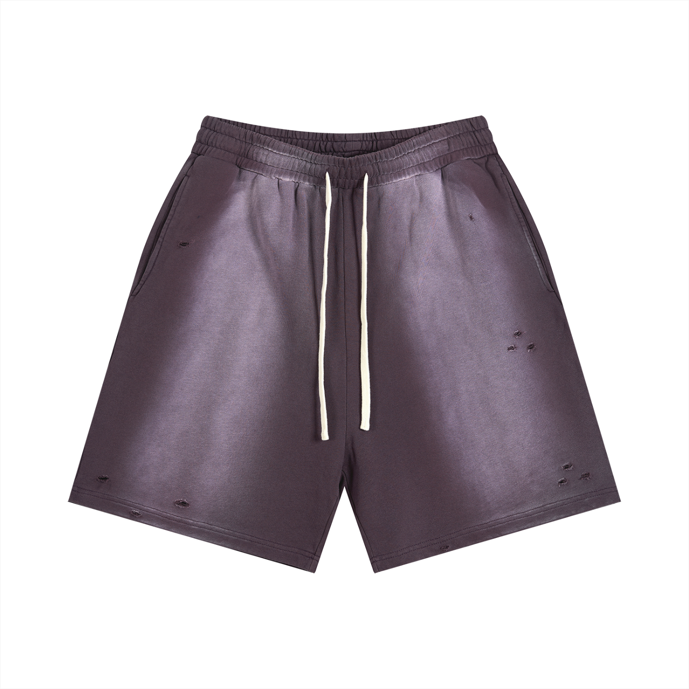 The Blank Sun Fade Distressed Shorts