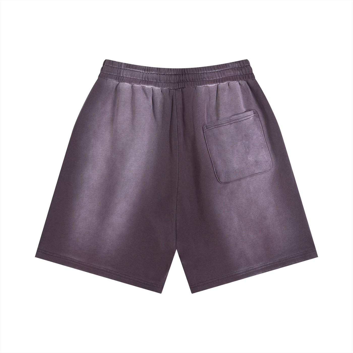 The Blank Sun Fade Distressed Shorts