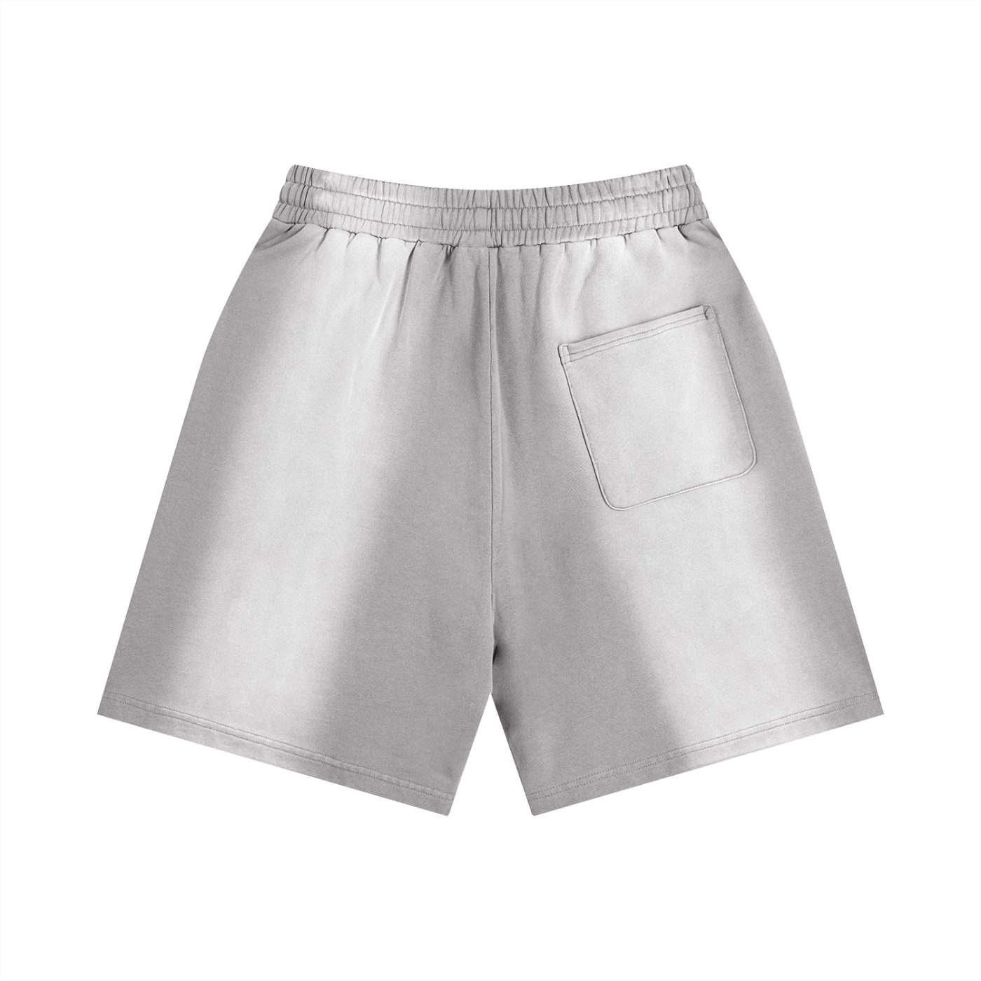 The Blank Sun Fade Distressed Shorts